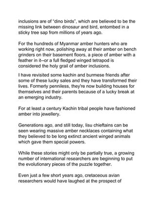 inclusions are of “dino birds”, which are believed to be the
missing link between dinosaur and bird, entombed in a
sticky tree sap from millions of years ago.
For the hundreds of Myanmar amber hunters who are
working right now, polishing away at their amber on bench
grinders on their basement floors, a piece of amber with a
feather in it--or a full fledged winged tetrapod is
considered the holy grail of amber inclusions.
I have revisited some kachin and burmese friends after
some of these lucky sales and they have transformed their
lives. Formerly penniless, they're now building houses for
themselves and their parents because of a lucky break at
an emerging industry.
For at least a century Kachin tribal people have fashioned
amber into jewellery.
Generations ago, and still today, lisu chieftains can be
seen wearing massive amber necklaces containing what
they believed to be long extinct ancient winged animals
which gave them special powers.
While these stories might only be partially true, a growing
number of international researchers are beginning to put
the evolutionary pieces of the puzzle together.
Even just a few short years ago, cretaceous avian
researchers would have laughed at the prospect of
 