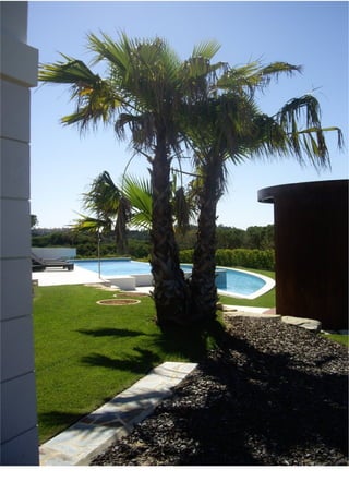 designSTUDIO : Lopes da Silva architects - residential homes