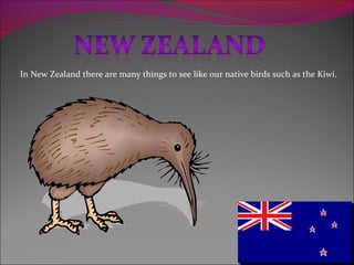 In New Zealand there are many things to see like our native birds such as the Kiwi.
 