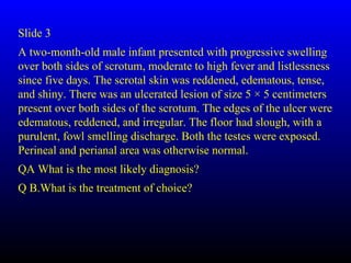 Slide 3
A two-month-old male infant presented with progressive swelling
over both sides of scrotum, moderate to high fever and listlessness
since five days. The scrotal skin was reddened, edematous, tense,
and shiny. There was an ulcerated lesion of size 5 × 5 centimeters
present over both sides of the scrotum. The edges of the ulcer were
edematous, reddened, and irregular. The floor had slough, with a
purulent, fowl smelling discharge. Both the testes were exposed.
Perineal and perianal area was otherwise normal.
QA What is the most likely diagnosis?
Q B.What is the treatment of choice?
 