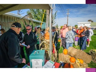 Oliver Festival of the Grape Photos