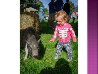 Oliver Festival of the Grape Photos