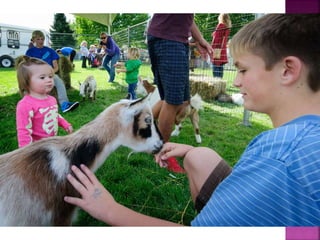 Oliver Festival of the Grape Photos