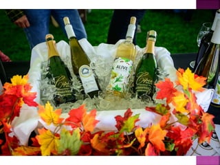 Oliver Festival of the Grape Photos