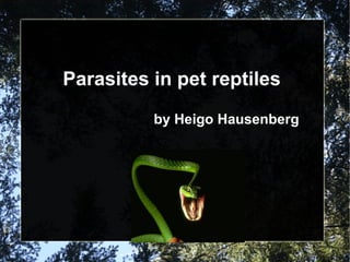 Parasites in pet reptiles by Heigo Hausenberg 