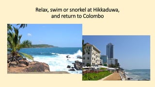 Relax, swim or snorkel at Hikkaduwa,
and return to Colombo
 