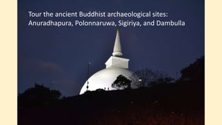 Tour the ancient Buddhist archaeological sites:
Anuradhapura, Polonnaruwa, Sigiriya, and Dambulla
 