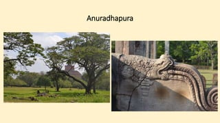 Anuradhapura
 