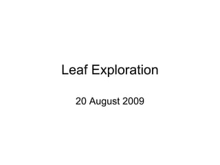 Leaf Exploration 20 August 2009 