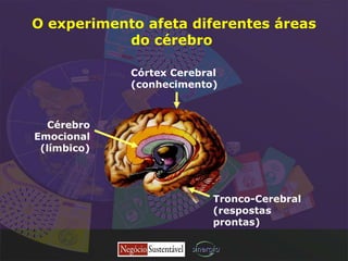 O experimento afeta diferentes áreas do cérebro   Córtex Cerebral (conhecimento) Tronco-Cerebral (respostas prontas) Cérebro Emocional (límbico) 