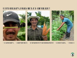 Techniques taught by SHI include: cover crops  crop rotation integrated pest management composting mulch 