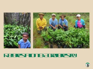 Reforestation & Agroforestry 