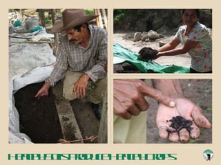 Healthy Soils Produce Healthy Crops 