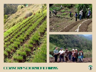 Cover Crops & Erosion Barriers 
