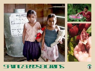 Saving Seeds & Grains 