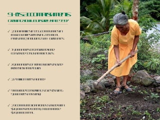 2,100 families in 155 communities in four countries receiving technical assistance, including 500+ graduates 14,000 acres of degraded land converted to sustainable uses 70,000 acres of tropical forest saved from slash-and-burn 2.7 million trees planted 900 wood-conserving stoves (saving 9,000 trees per year) 23 community loan funds started with $10,000 seed capital, now manage $70,000 capital SHI’s Accomplishments Growing slowly but surely since 1997 