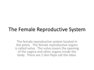 The Female Reproductive System The female reproductive system located in the pelvis.  The female reproductive organs is called vulva.  The vulva covers the opening of the vagina and other organs inside the body.  There are 2 skin flaps call the labia. 