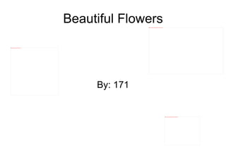 Beautiful Flowers By: 171 
