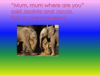 “Mum, mum where are you” said Jacinta and Jacob.But no one answered.