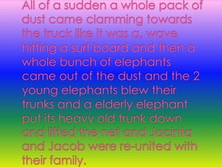 All of a sudden a whole pack of dust came clamming towards the truck like it was a, wave hitting a surf board and then a whole bunch of elephants came out of the dust and the 2 young elephants blew their trunks and a elderly elephant put its heavy old trunk down and lifted the net and Jacinta and Jacob were re-united with their family.