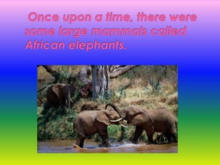  Once upon a time, there were some large mammals called African elephants.