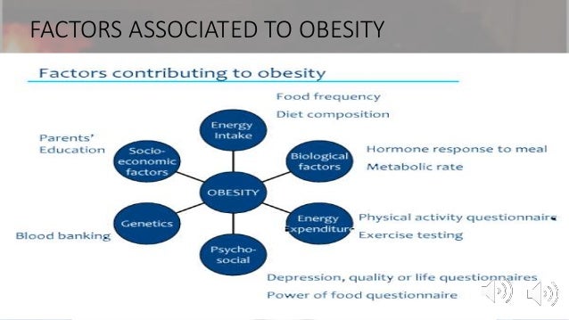 Obesity research articles image