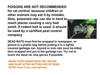 Slide Show Rodents | PPT