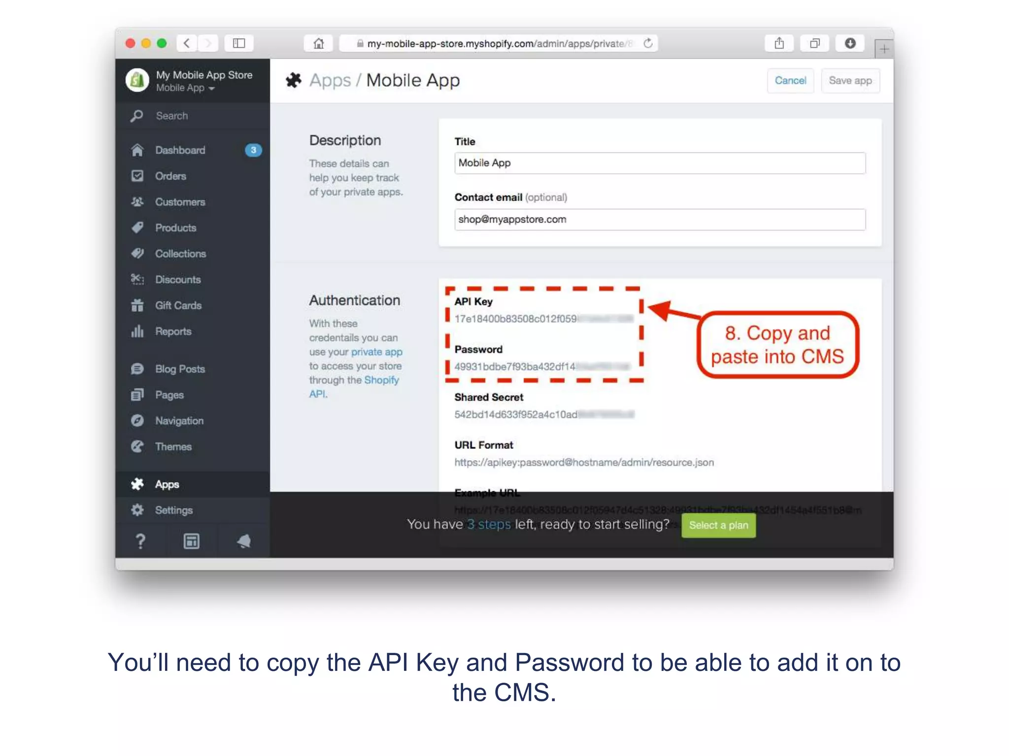 You’ll need to copy the API Key and Password to be able to add it on to
the CMS.
 