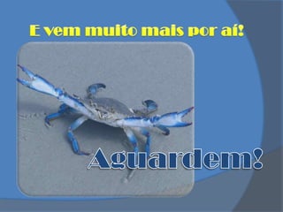 E vem muito mais por aí!Aguardem!