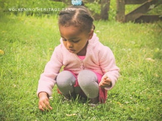 V O L K E N I N G H E R I T A G E F A R M