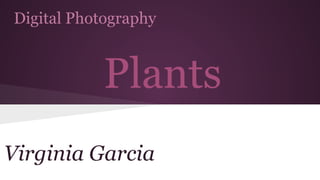 Digital Photography
Plants
Virginia Garcia
 