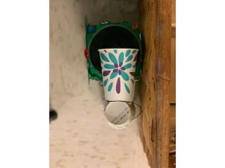 Slideshow  traps 1st try