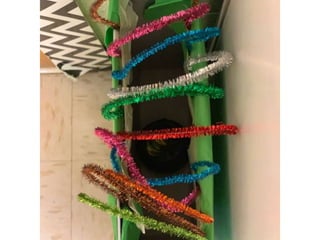 Slideshow  traps 1st try