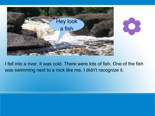 I fell into a river. It was cold. There were lots of fish. One of the fish was swimming next to a rock like me. I didn't recognize it.  Hey look a fish 