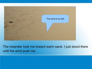 The meander took me toward warm sand. I just stood there until the wind push me. The sand is so soft 