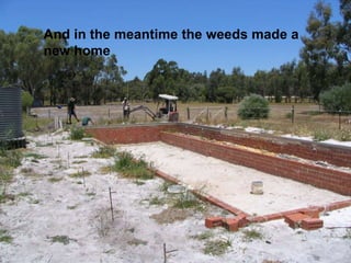 And in the meantime the weeds made a
new home
 