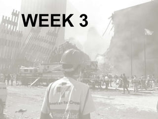 WEEK 3