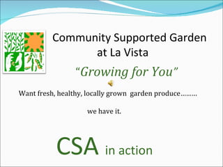 Want fresh, healthy, locally grown  garden produce………   we have it. Community Supported Garden  at La Vista “ Growing for You ” CSA  in action 
