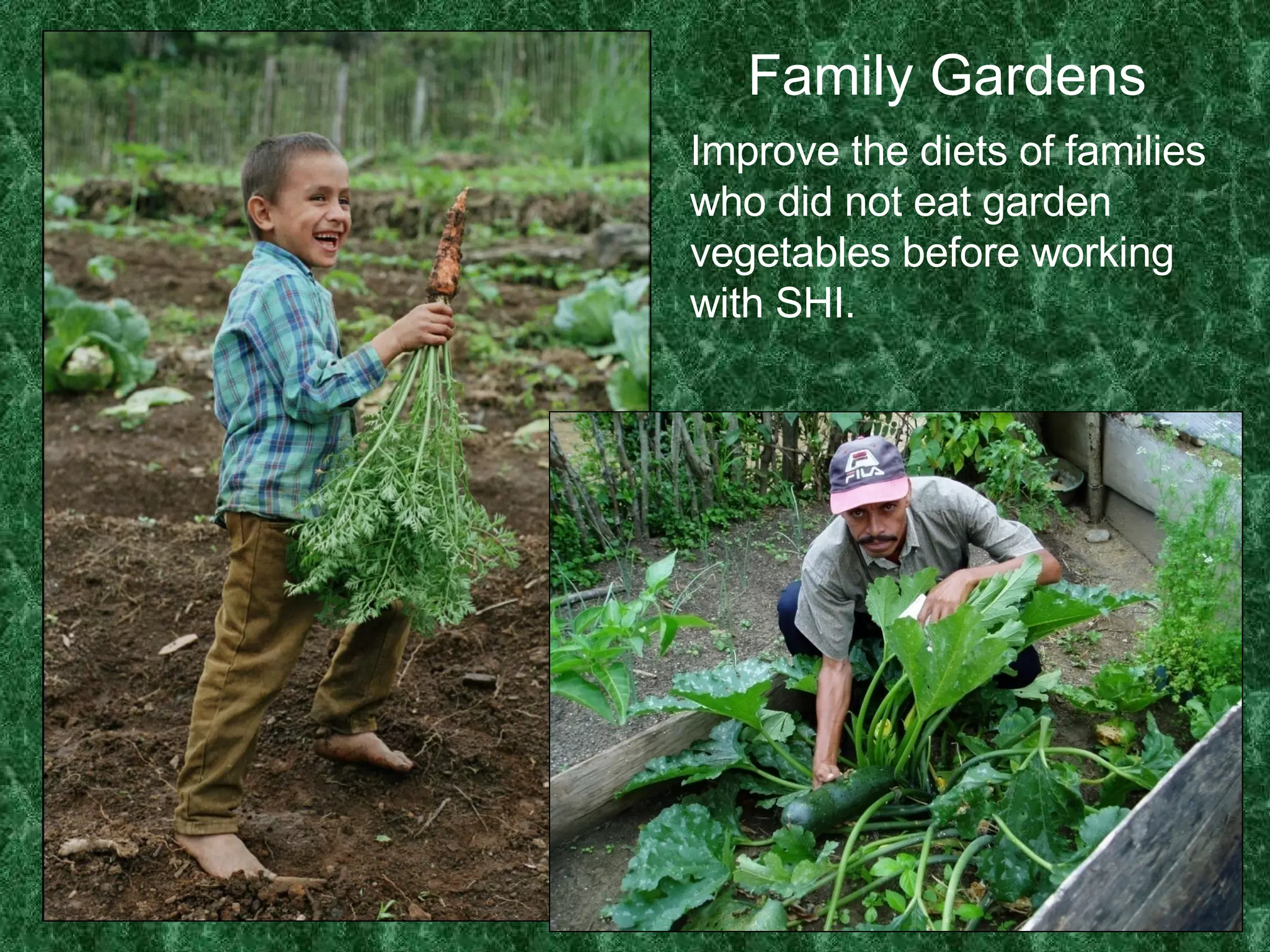 Family Gardens Improve the diets of families who did not eat garden vegetables before working with SHI. 