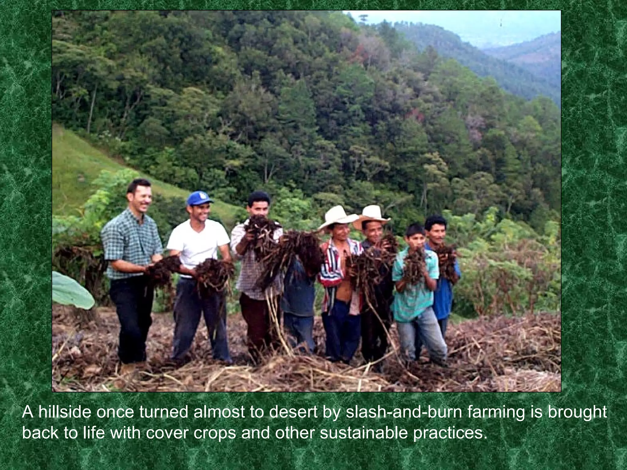 A hillside once turned almost to desert by slash-and-burn farming is brought back to life with cover crops and other sustainable practices. 