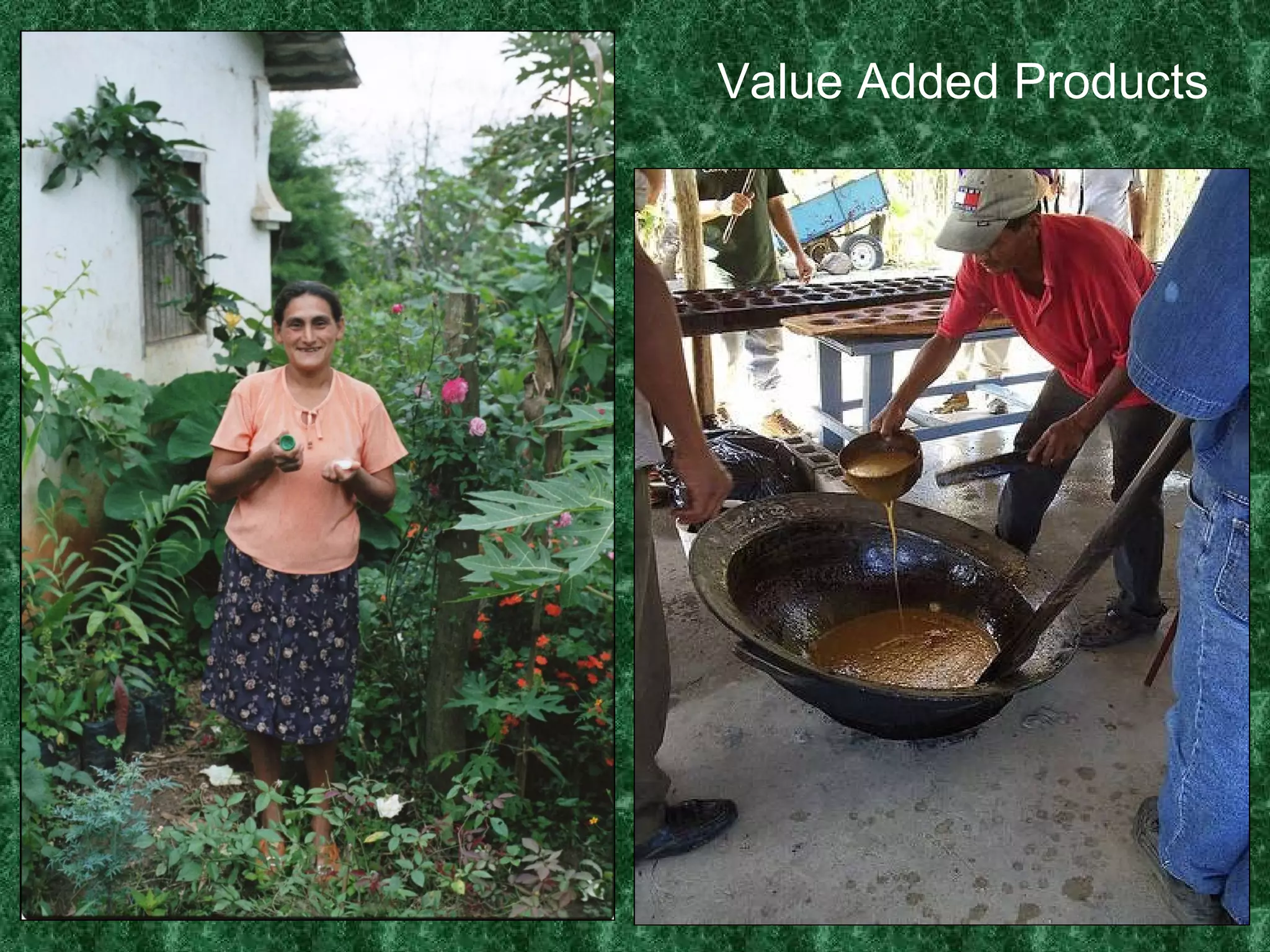 Value Added Products 