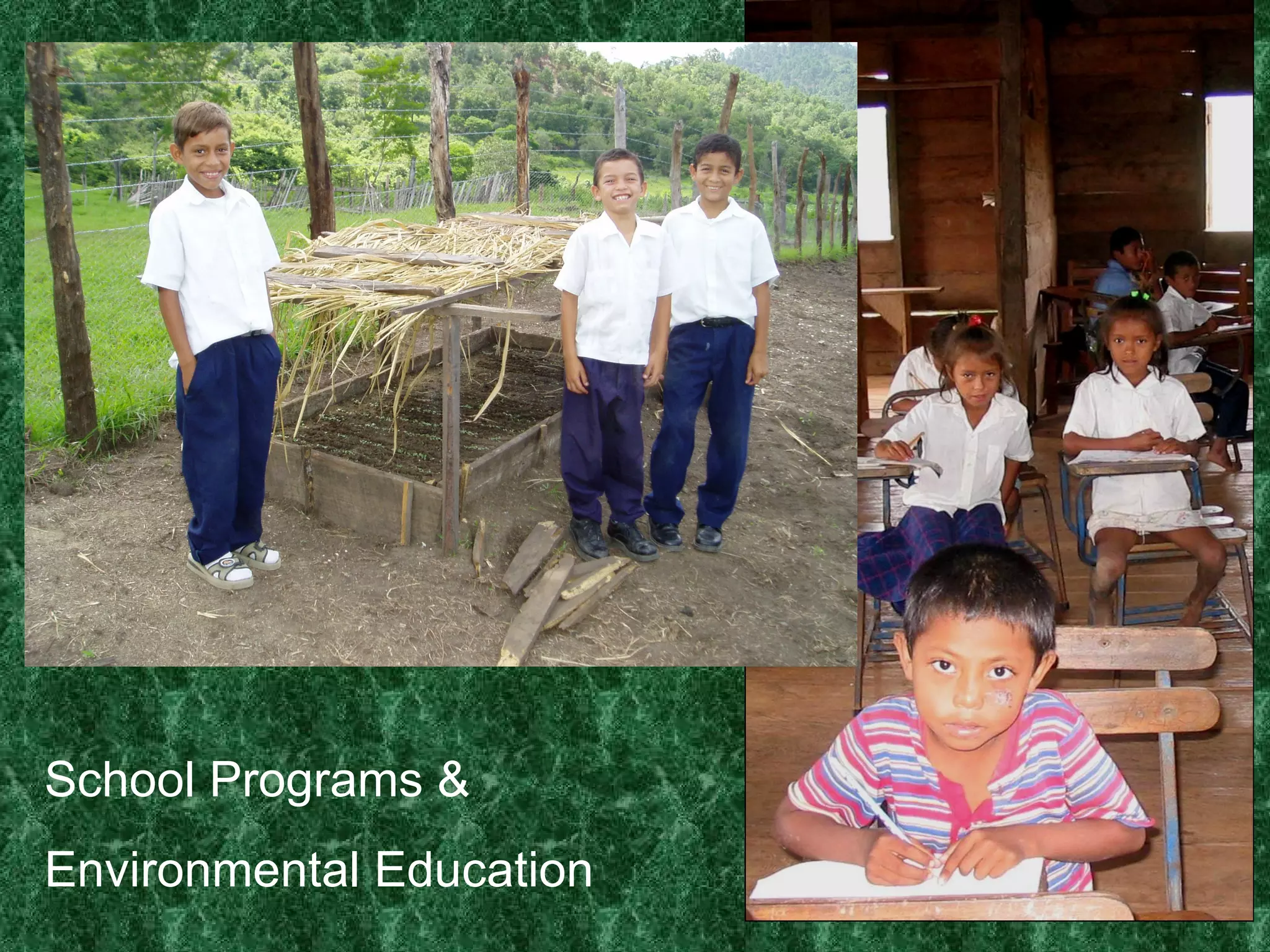 School Programs & Environmental Education 