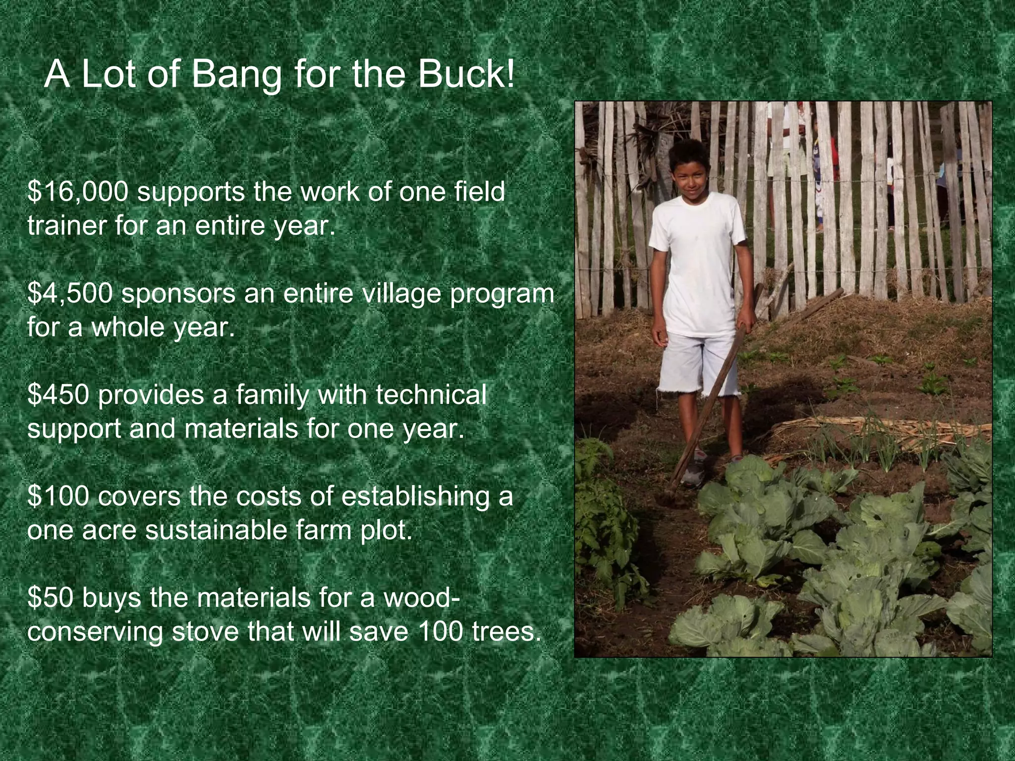 A Lot of Bang for the Buck! $16,000 supports the work of one field trainer for an entire year.   $4,500 sponsors an entire village program for a whole year. $450 provides a family with technical support and materials for one year. $100 covers the costs of establishing a one acre sustainable farm plot. $50 buys the materials for a wood-conserving stove that will save 100 trees. 