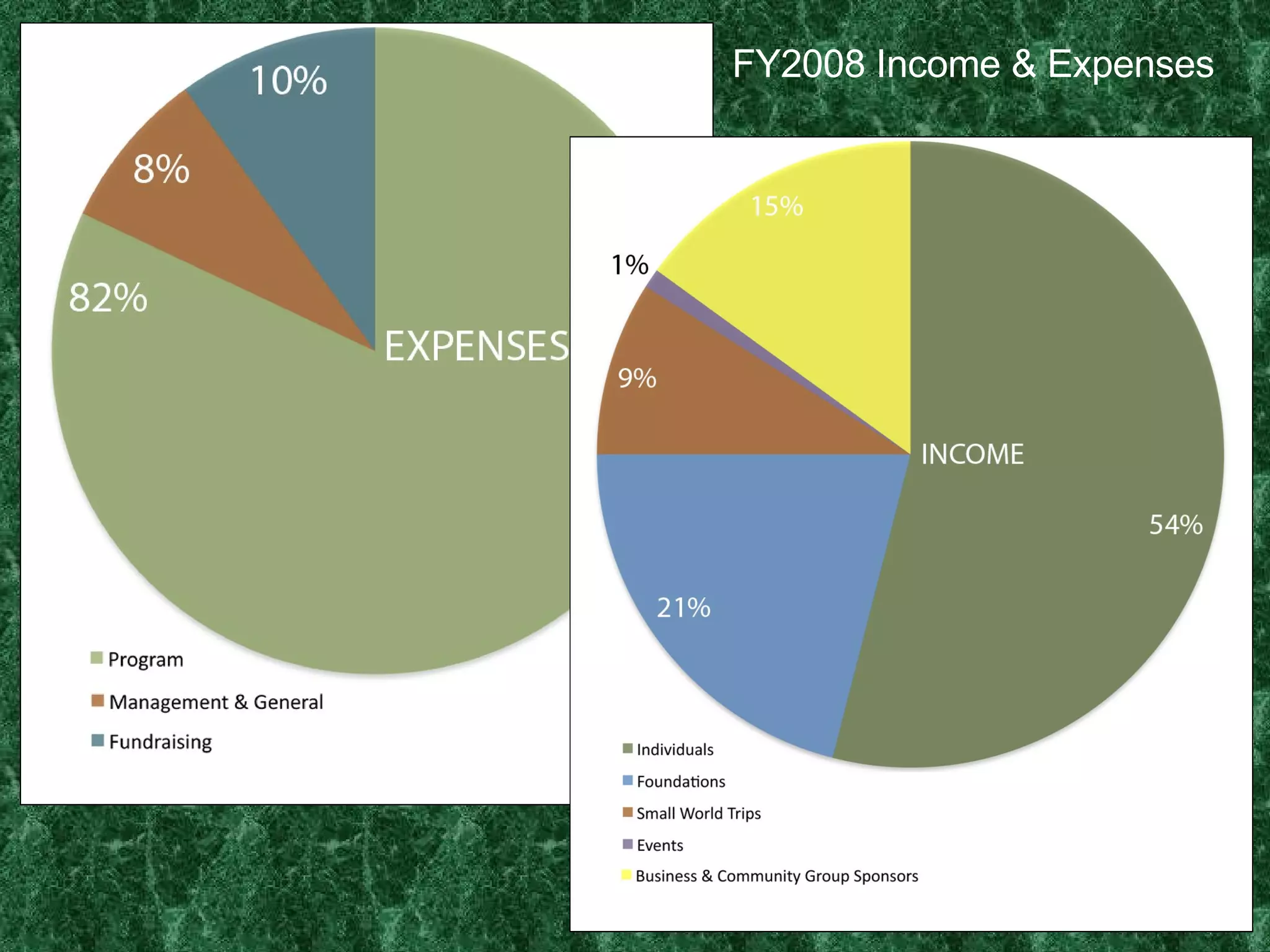 FY2008 Income & Expenses 