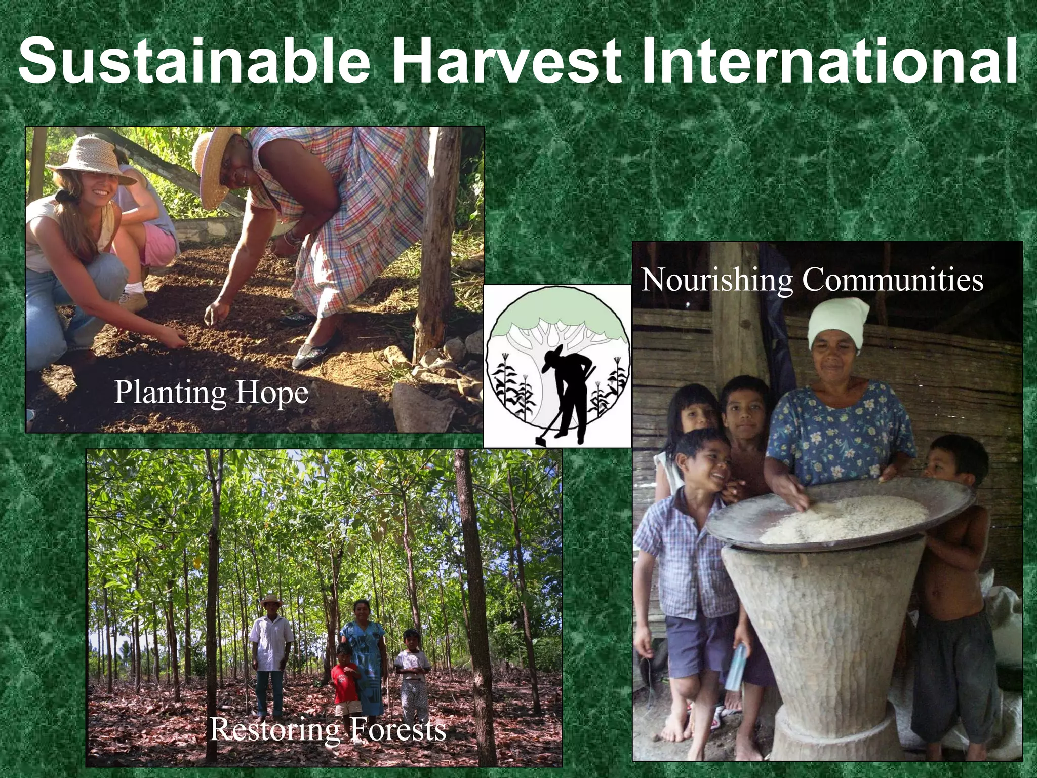 Sustainable Harvest International Planting Hope Restoring Forests Nourishing Communities 