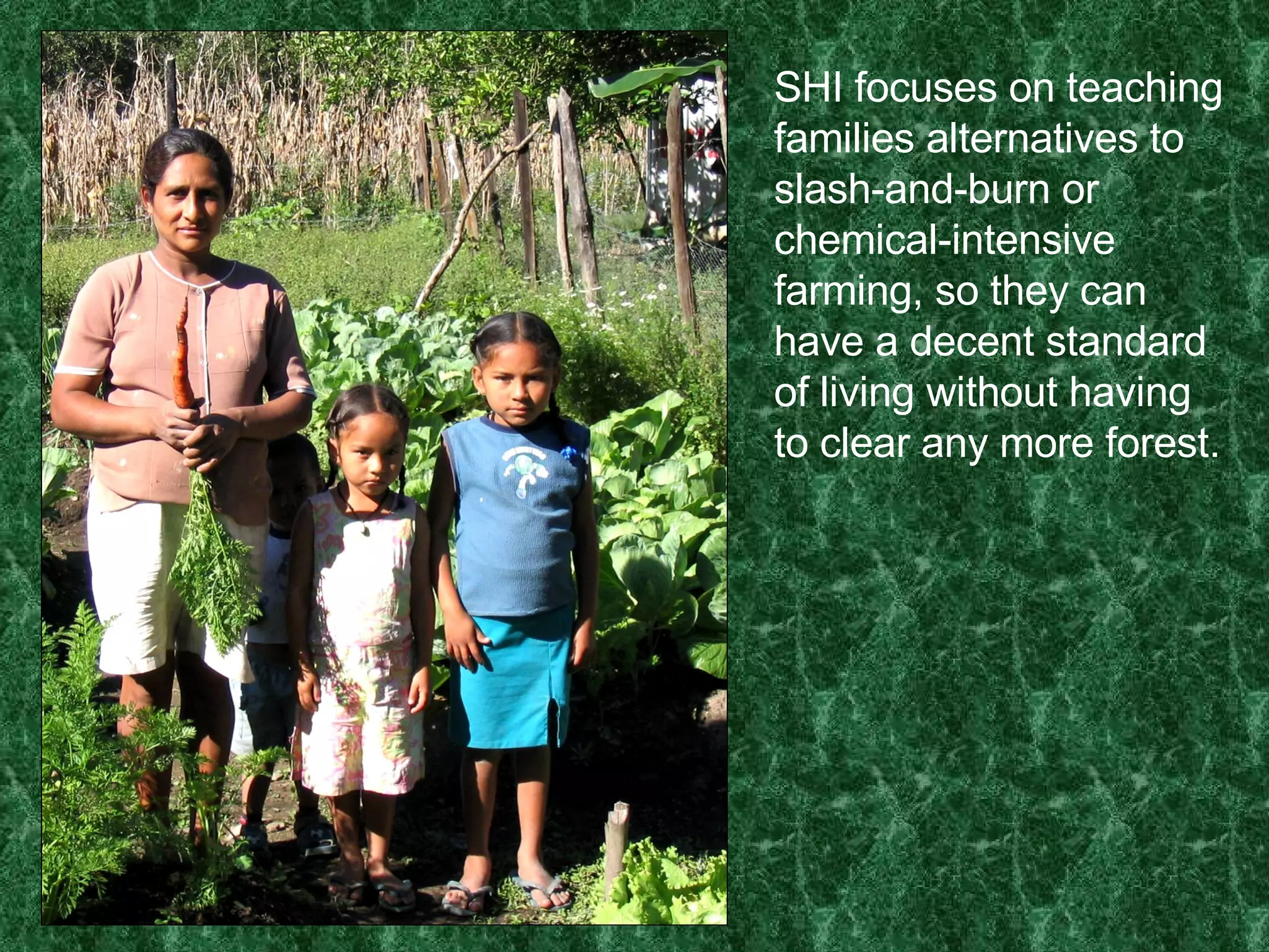 SHI focuses on teaching families alternatives to slash-and-burn or chemical-intensive farming, so they can have a decent standard of living without having to clear any more forest. 