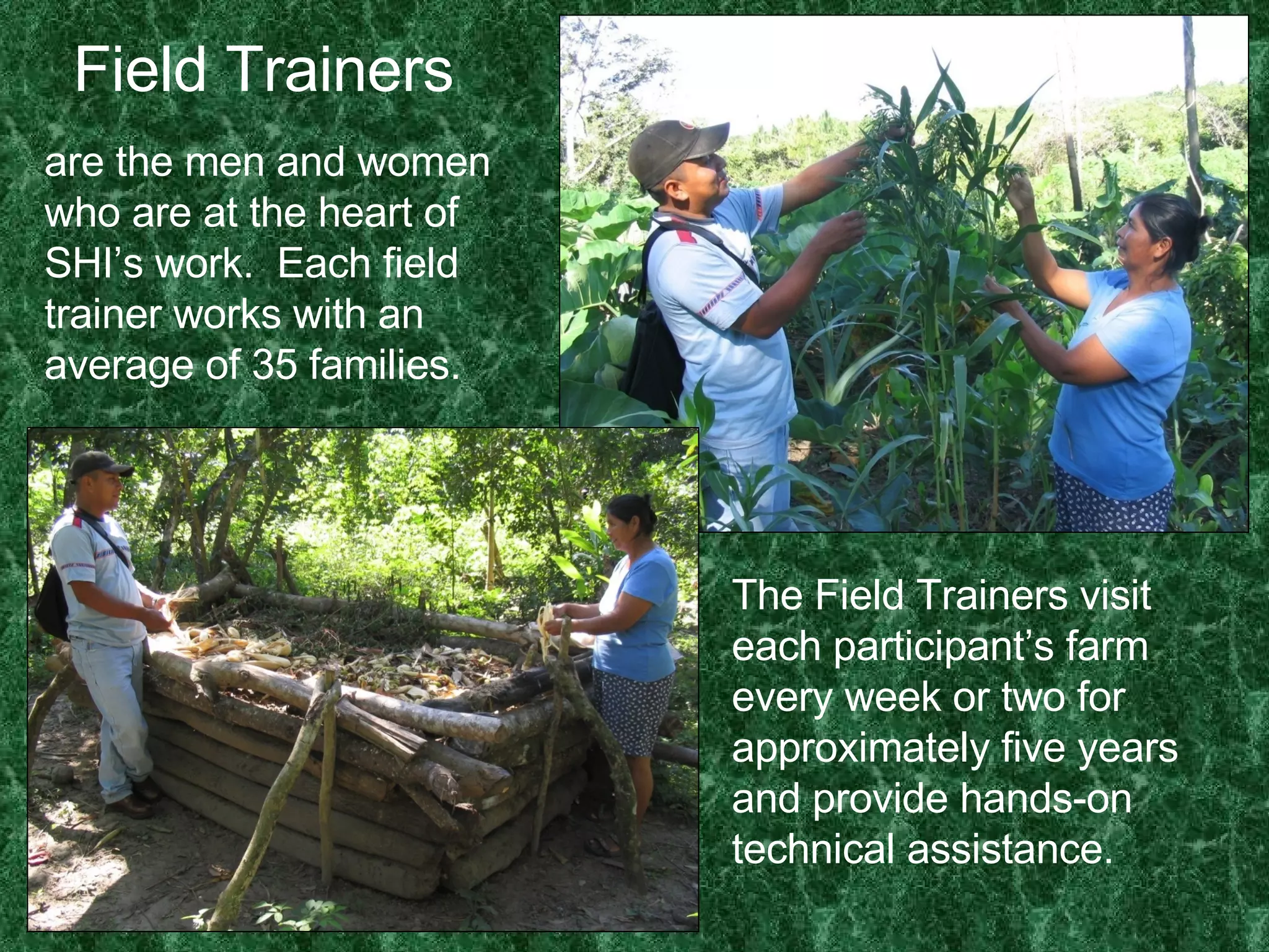 Field Trainers are the men and women who are at the heart of SHI’s work.  Each field trainer works with an average of 35 families. The Field Trainers visit each participant’s farm every week or two for approximately five years and provide hands-on technical assistance. 