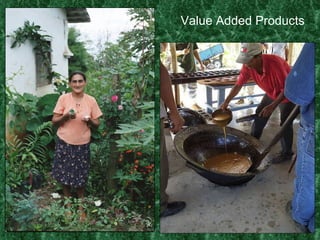 Value Added Products 