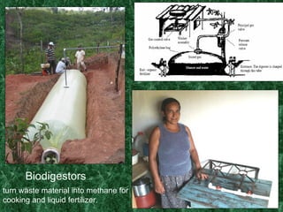 Biodigestors turn waste material into methane for cooking and liquid fertilizer. 