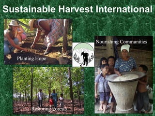 Sustainable Harvest International Planting Hope Restoring Forests Nourishing Communities 